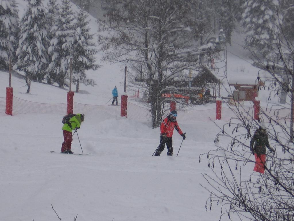 Chalet Jonquille 莱热 客房 照片