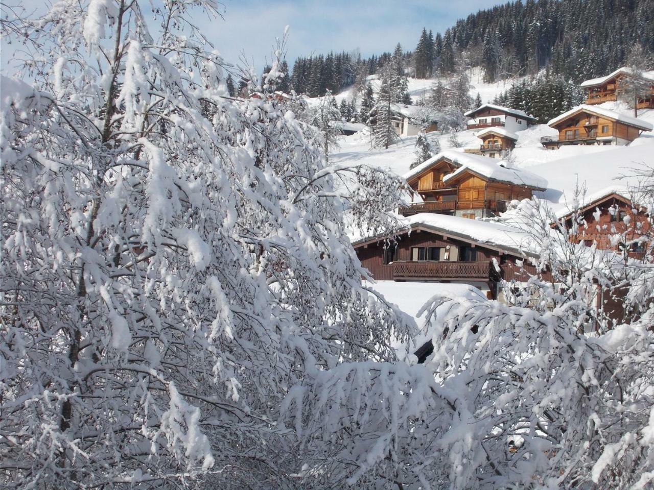 Chalet Jonquille 莱热 外观 照片